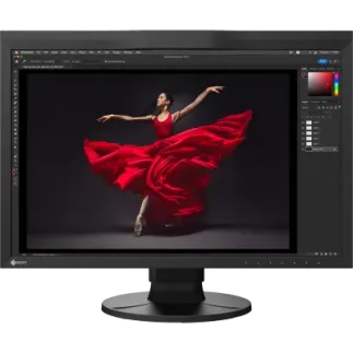 copy of EIZO COLORED MONITOR CG2420-BK